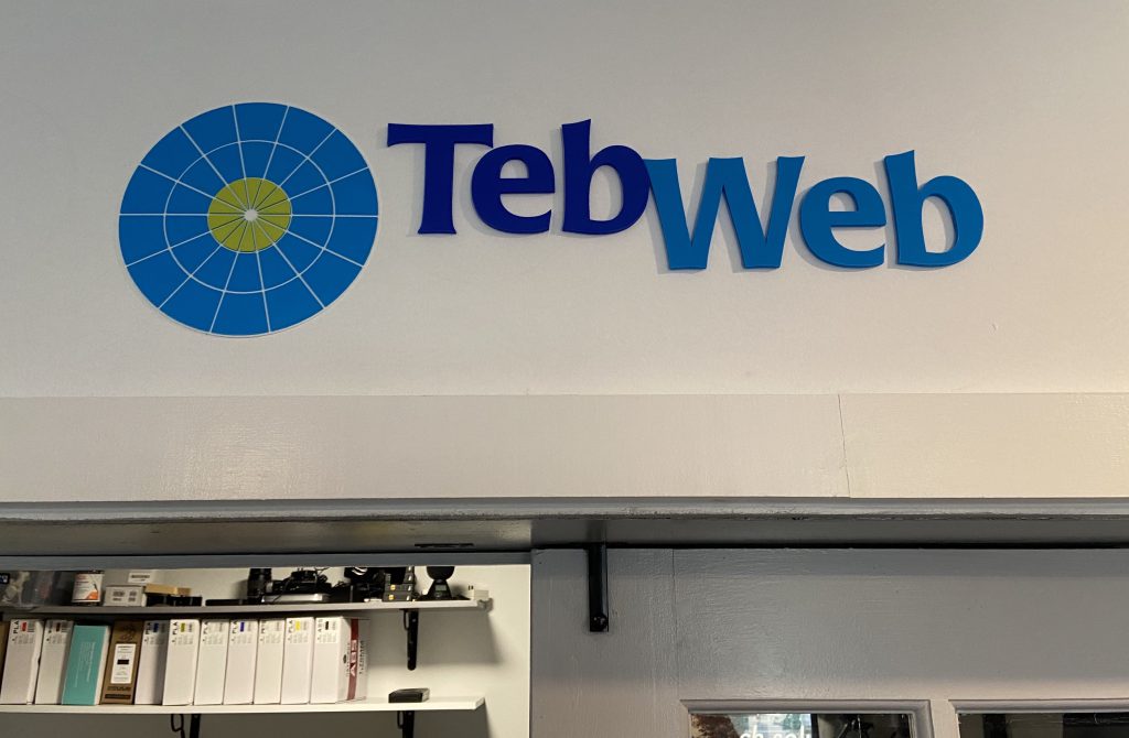 TebWeb Wall Logo